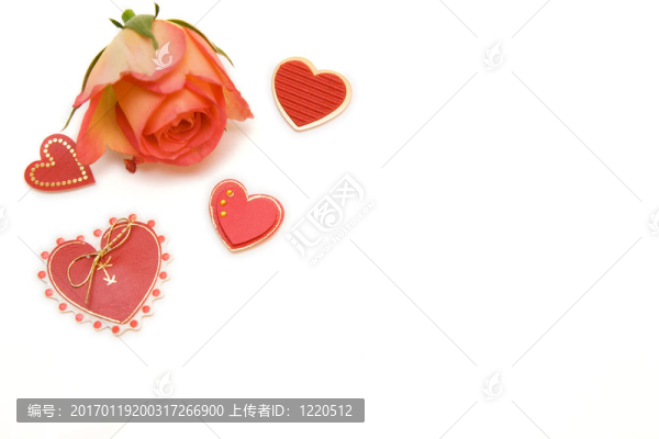 玫瑰紅的心隔離