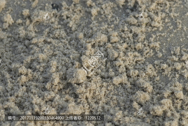 海灘上的鵝卵石