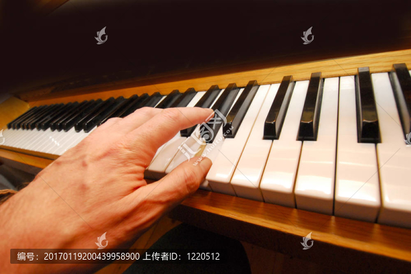 鋼琴玩家