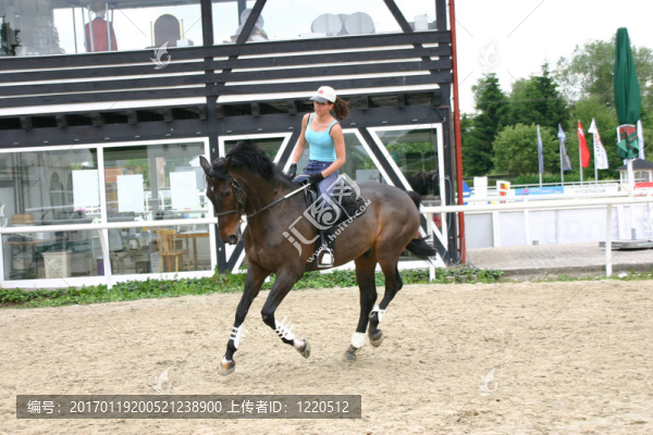 馬和騎手