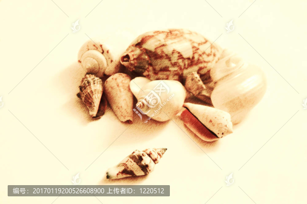 殼牌集團