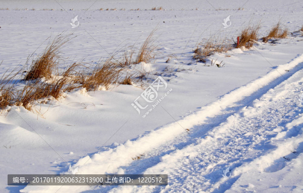 雪場(chǎng)