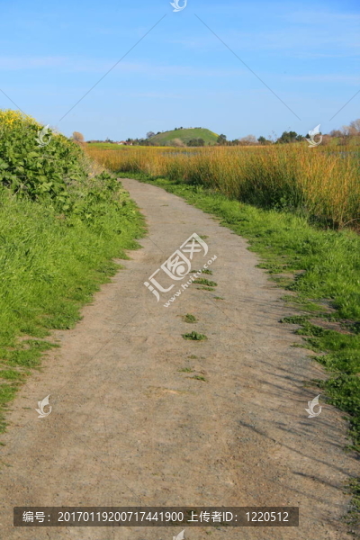 公園里的小徑