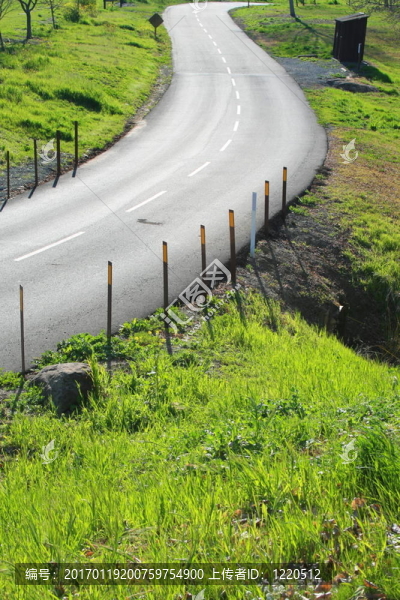 公園里的路