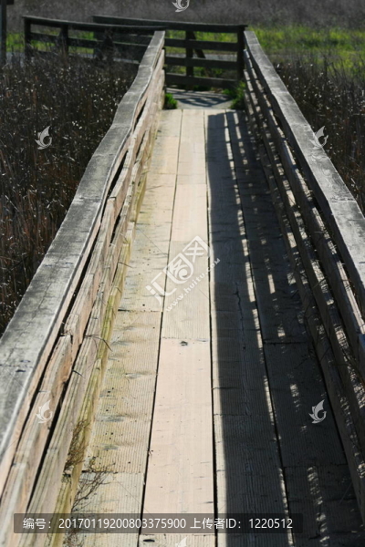 木頭橋