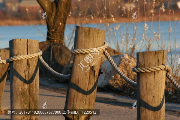 木材