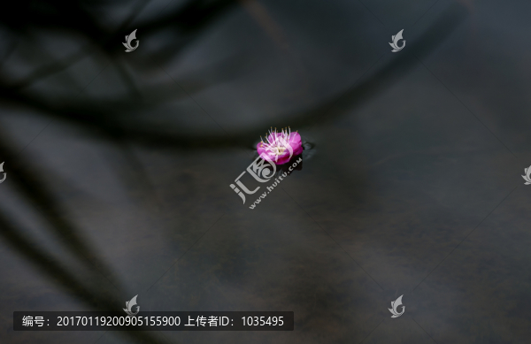 梅花