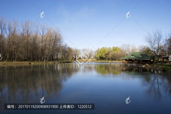 湖風景