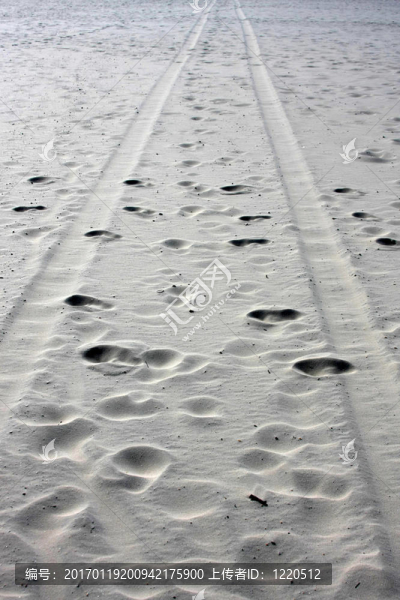 軌道