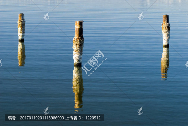 索爾頓湖樁