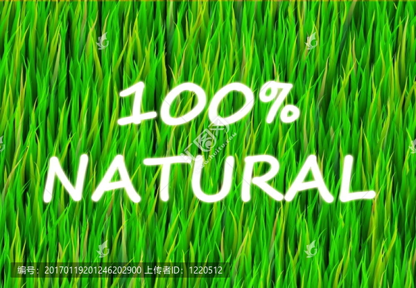 100%自然