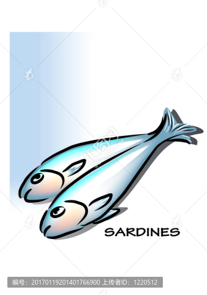 沙丁油魚