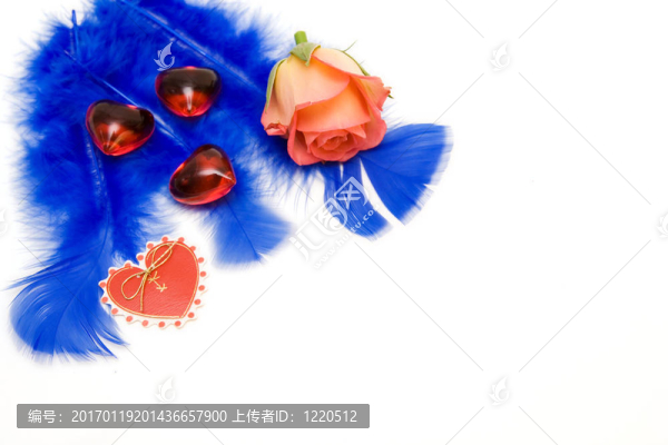 玫瑰紅的心隔離