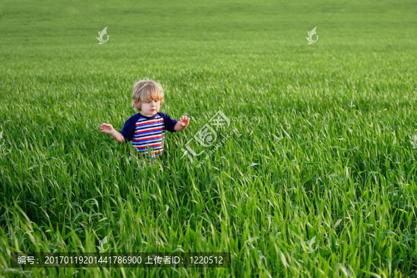 在一個(gè)草的海洋里的一個(gè)小孩子-匯圖網(wǎng) www.fosd68.com 在一個(gè)草的海洋里的一個(gè)小孩子