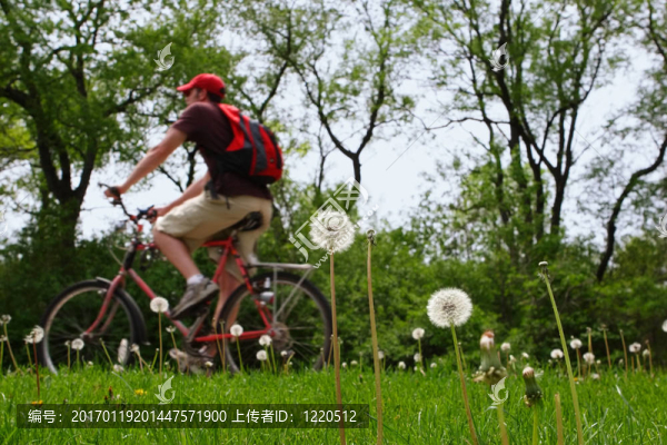 享受每一天