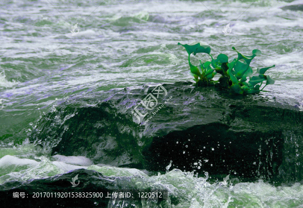 水；液體；流體；流動；瀑布；級聯(lián)