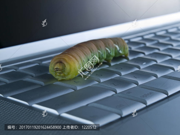 計算機(jī)的bug