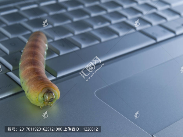 計(jì)算機(jī)的bug