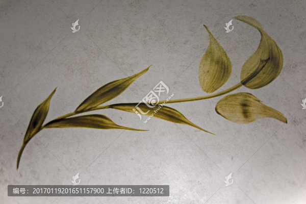 玻璃漆