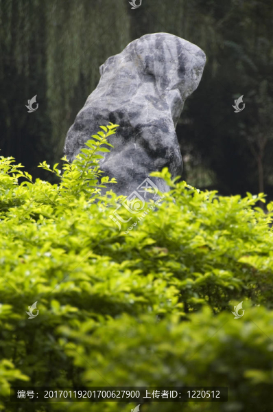 一個中國的花園