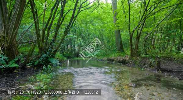 夏林溪-匯圖網(wǎng) www.fosd68.com 夏林溪