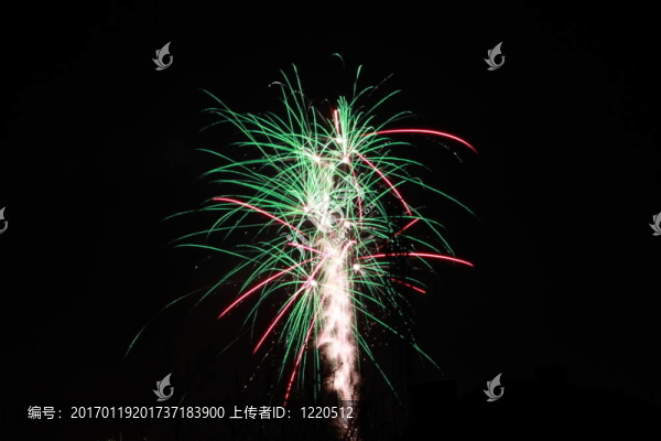 在黑暗的天空上的煙火