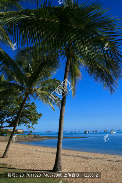 海灘場(chǎng)景