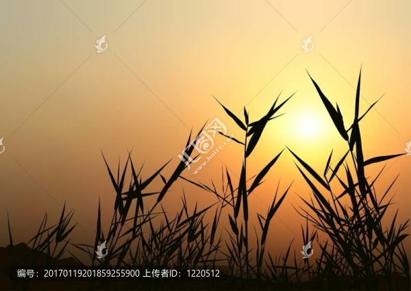 日出的景象