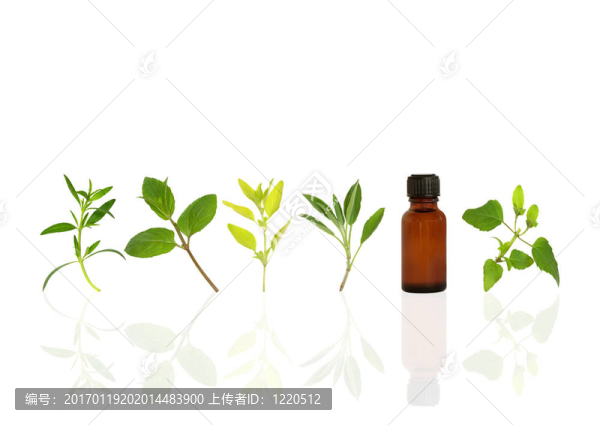 健康藥草