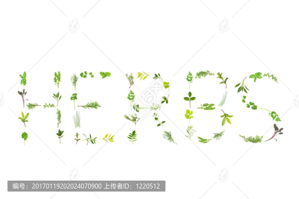 草本植物