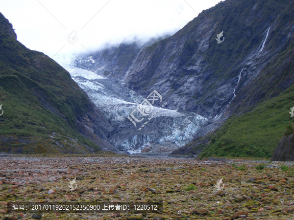 Franz,Josef,Glacier谷新西蘭