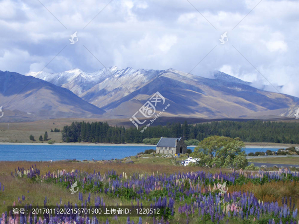 特卡波；新西蘭