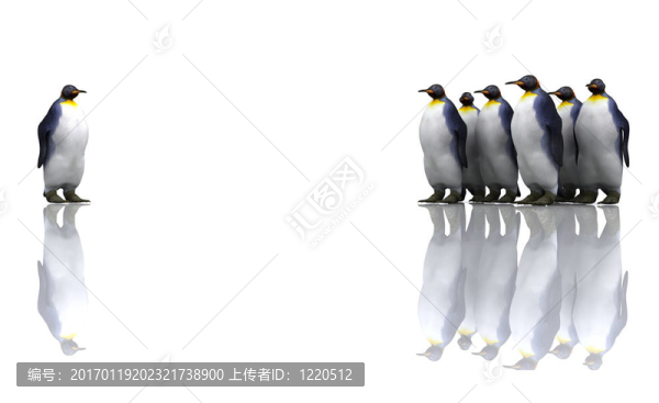 企鵝