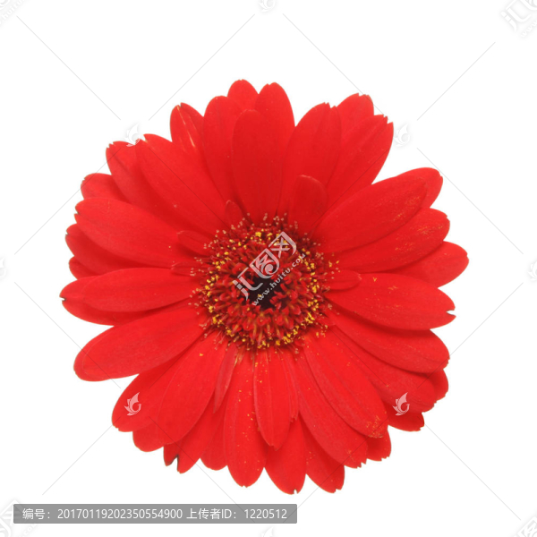 紅太陽(yáng)-匯圖網(wǎng) www.fosd68.com 紅太陽(yáng)