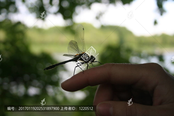 缺陷