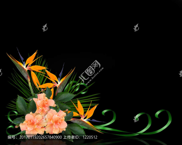 熱帶花卉黑邊