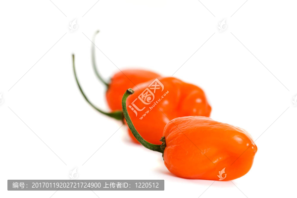 三辣椒辣椒