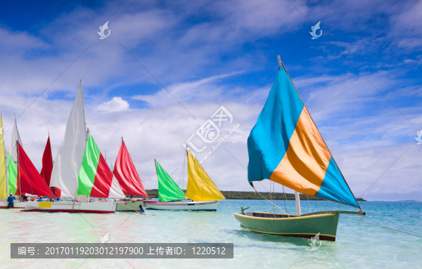 帆船賽