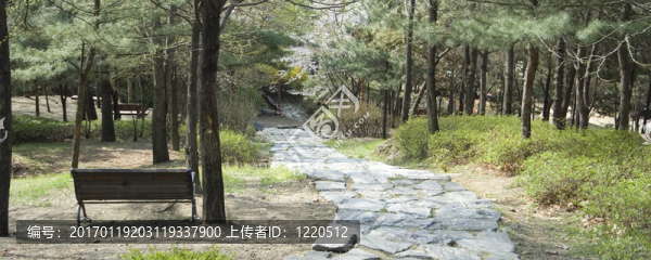 公園小路的全景。