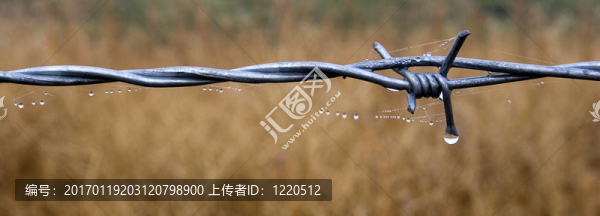 鐵絲網(wǎng)全景。