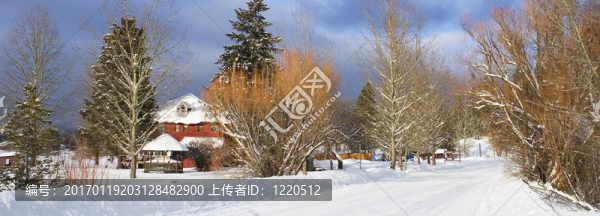 冰雪覆蓋的道路。