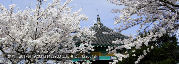 韓國的一個公園全景。