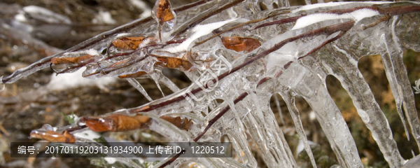 Frozen離開