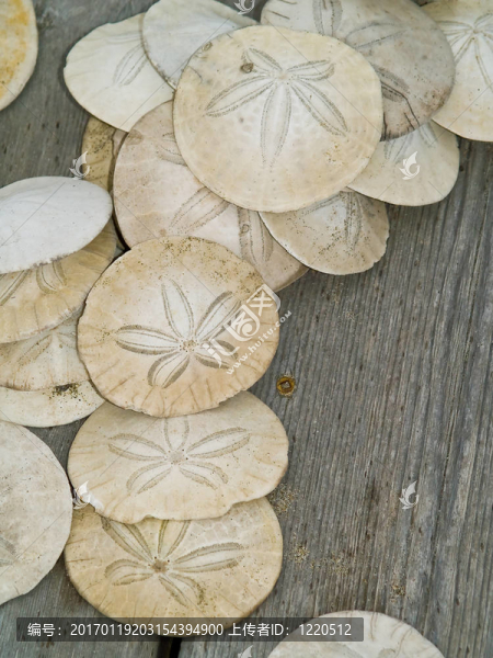 木板上的沙