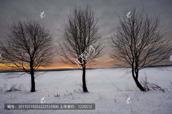 在田野里的夕陽