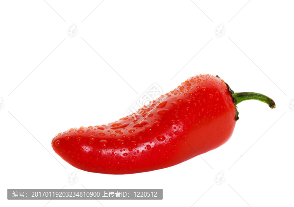 辣椒