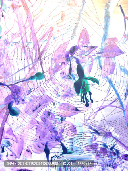 spidee紀念