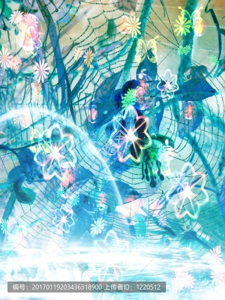 spidee天堂