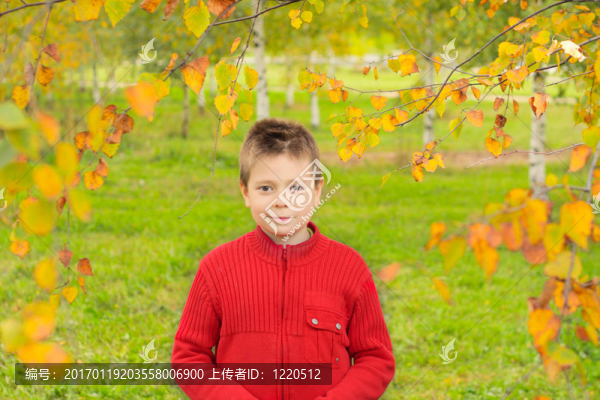 秋天公園里的男孩