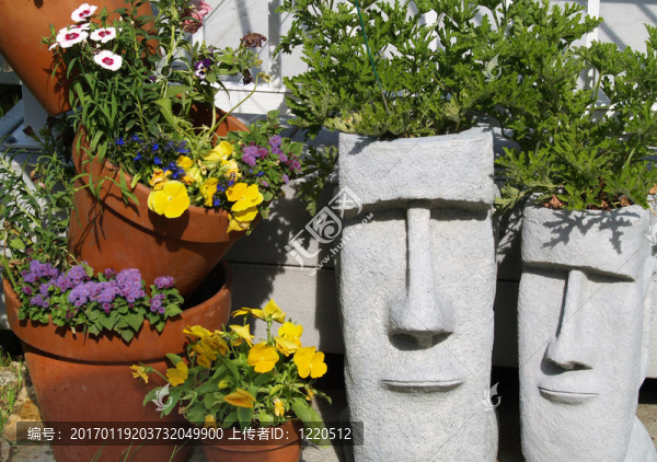 復(fù)活島的花園種植1